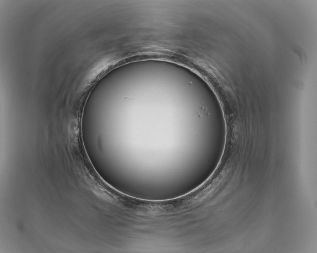 X0000111011355200906261511