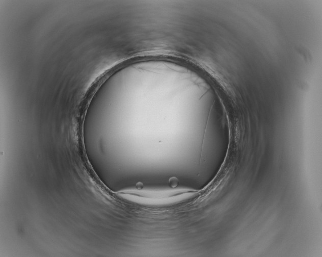 X0000111011356200906261511