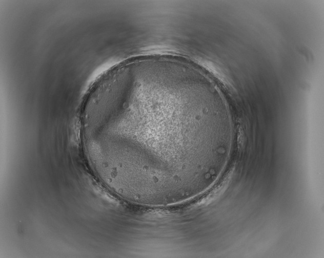 X0000111011358200906261511