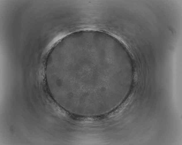 X0000111011359200906261511