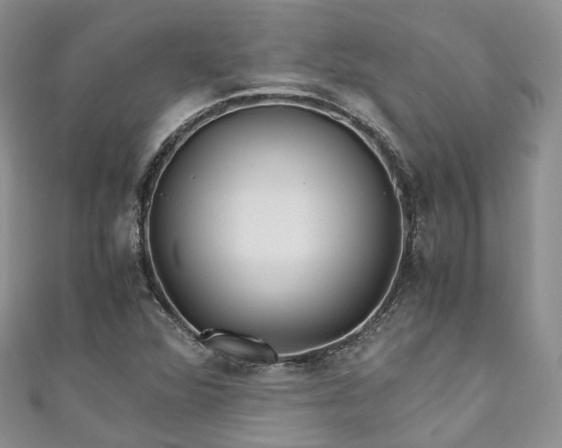 X0000111011360200906261511