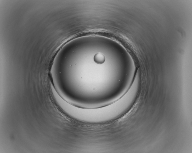 X0000111011361200906261511