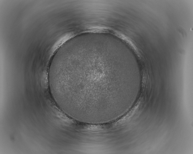 X0000111011362200906261511