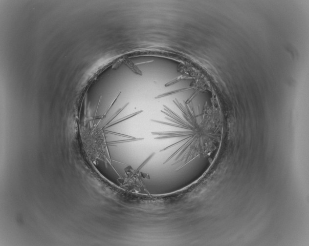 X0000111011363200906261511