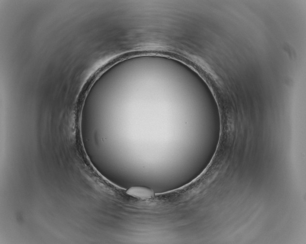 X0000111011364200906261511