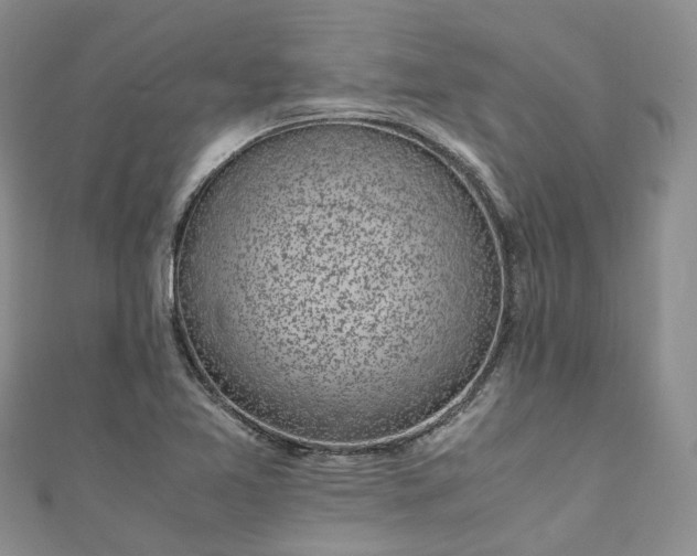 X0000111011365200906261511