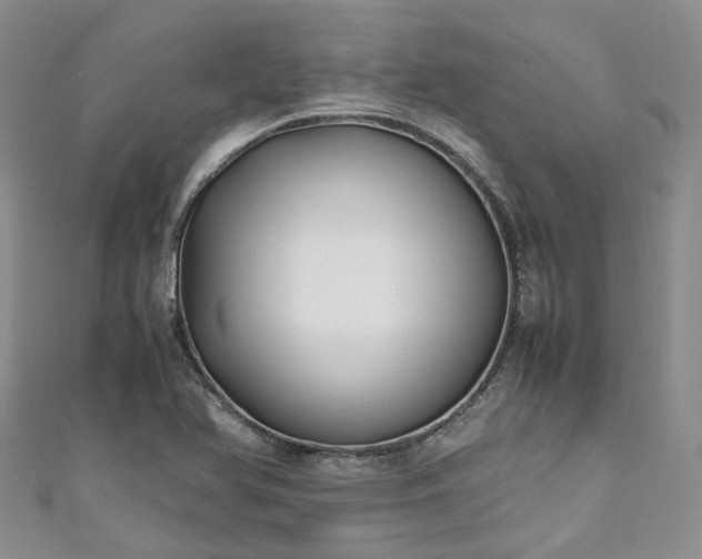X0000111011366200906261511