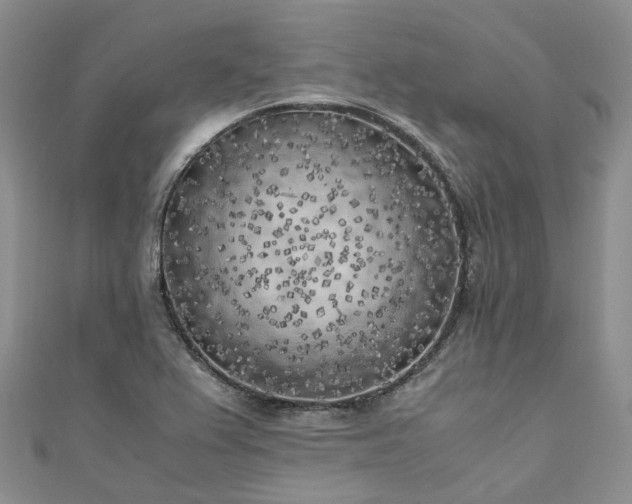 X0000111011367200906261511