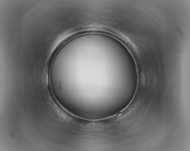 X0000111011368200906261511