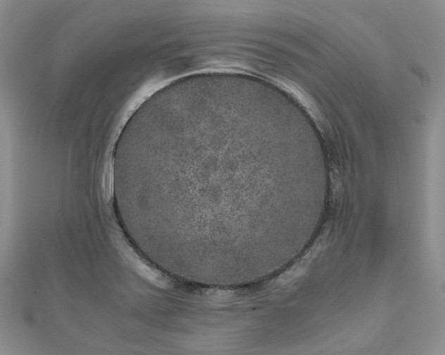 X0000111011371200906261511