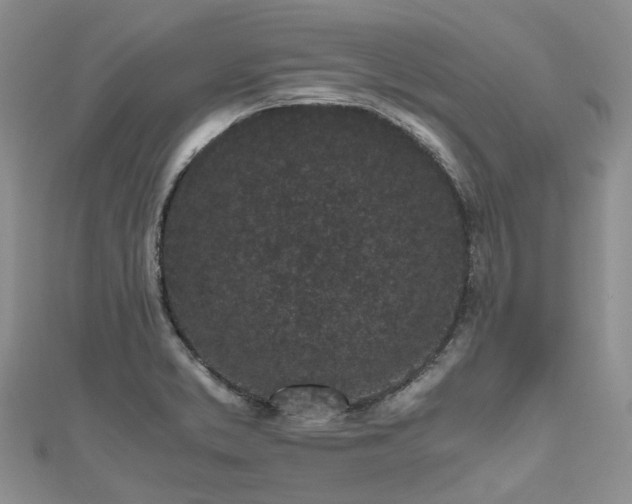 X0000111011373200906261511