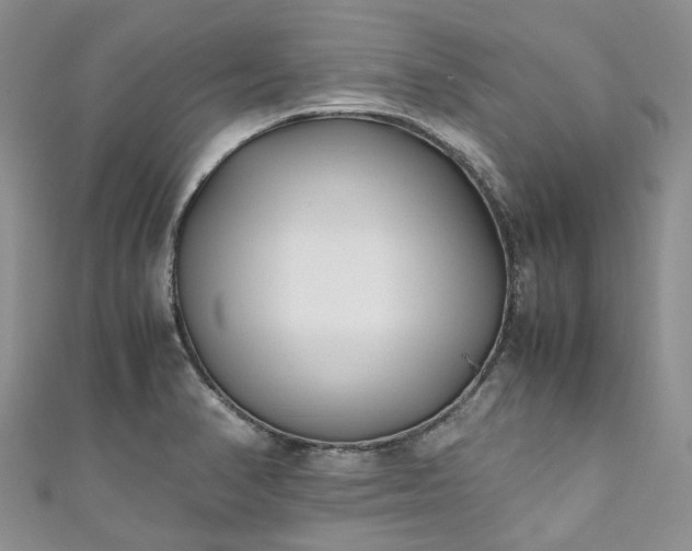 X0000111011374200906261511