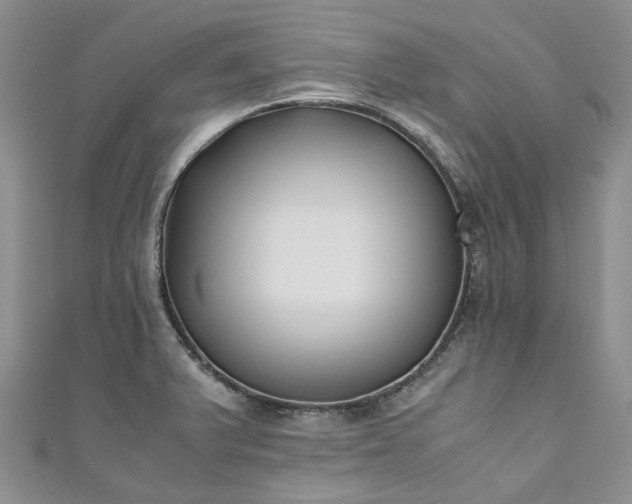 X0000111011375200906261511