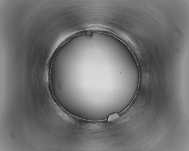 X0000111011376200906261511