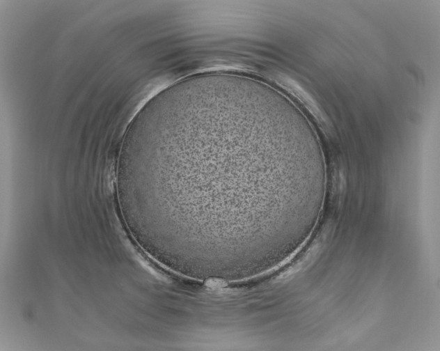 X0000111011377200906261511