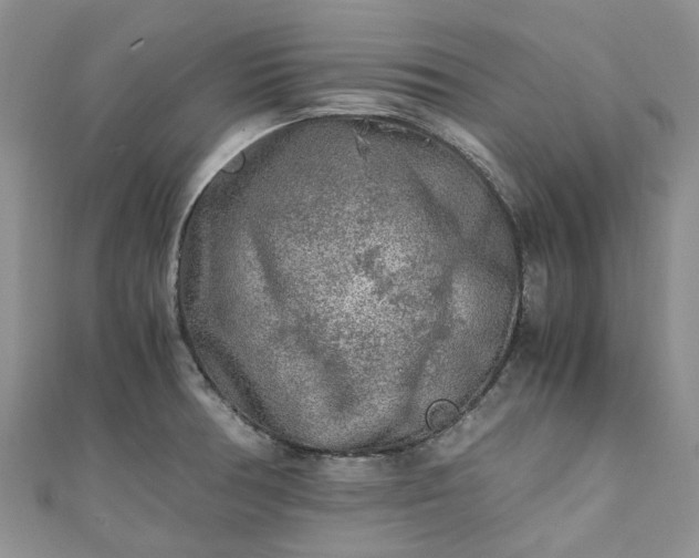 X0000111011378200906261511