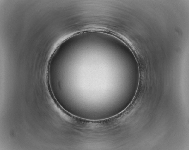 X0000111011379200906261511