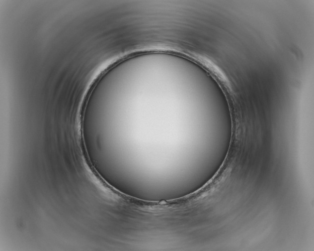 X0000111011380200906261511