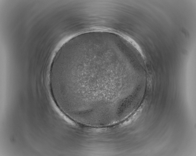 X0000111011381200906261511