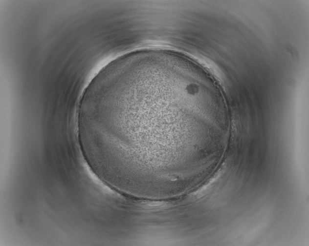 X0000111011382200906261511