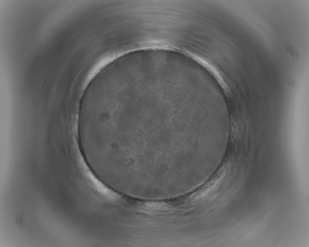 X0000111011383200906261511
