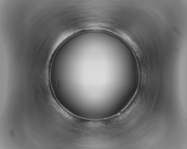 X0000111011384200906261511