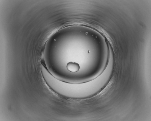 X0000111011385200906261510