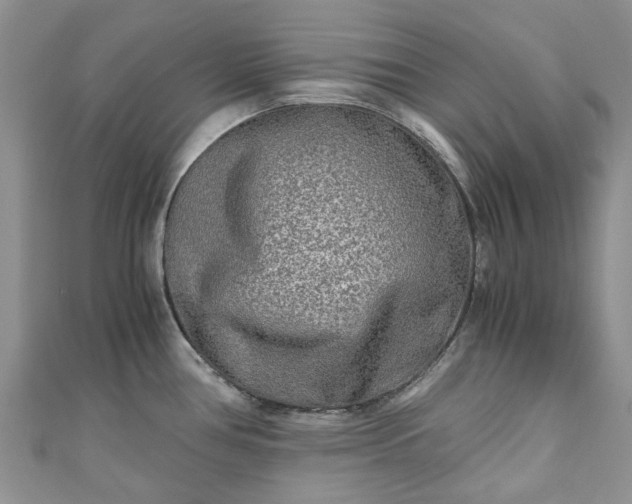 X0000111011386200906261510