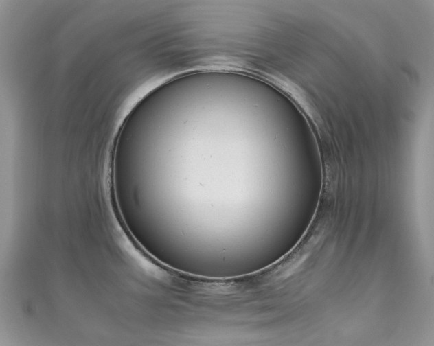 X0000111011387200906261510