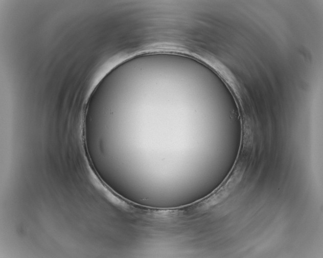 X0000111011390200906261510