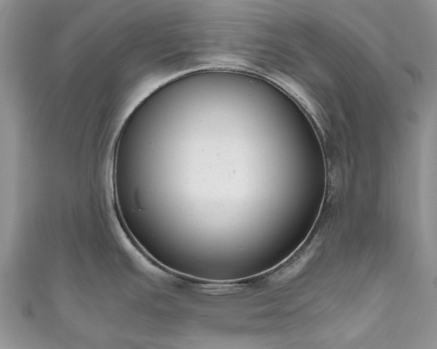 X0000111011391200906261510