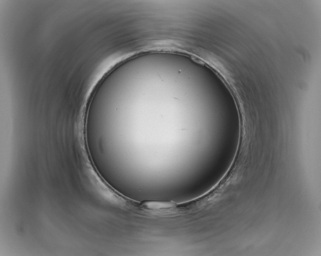 X0000111011392200906261510