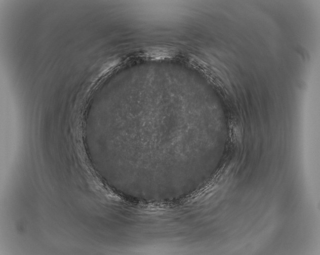 X0000111011393200906261510