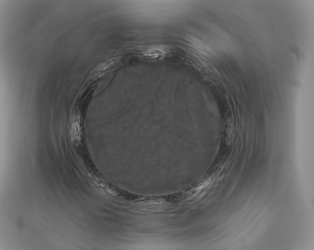 X0000111011394200906261510