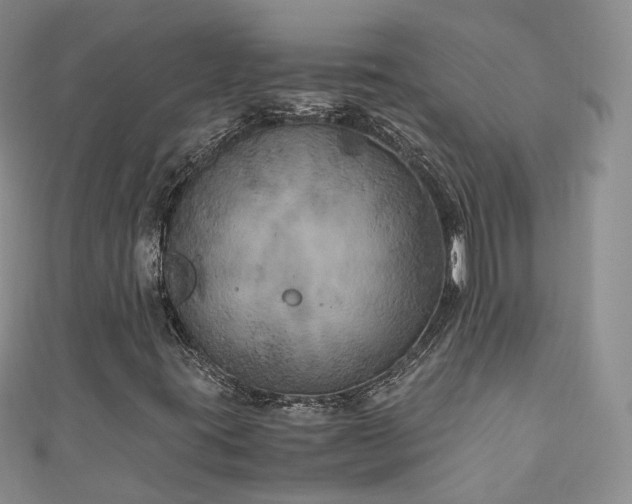 X0000111011395200906261510