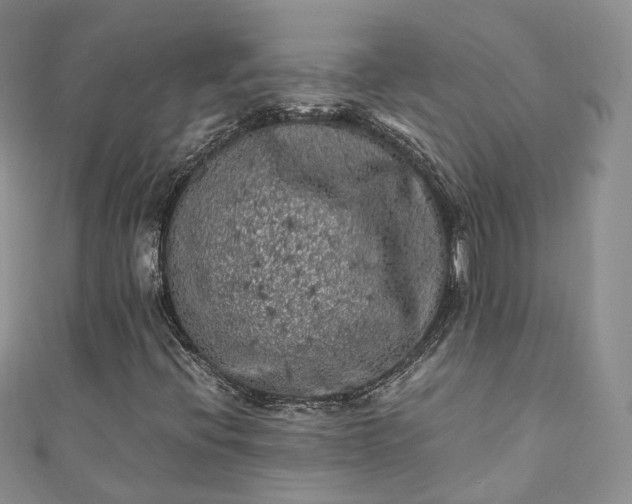 X0000111011396200906261510