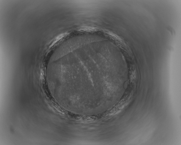 X0000111011397200906261510