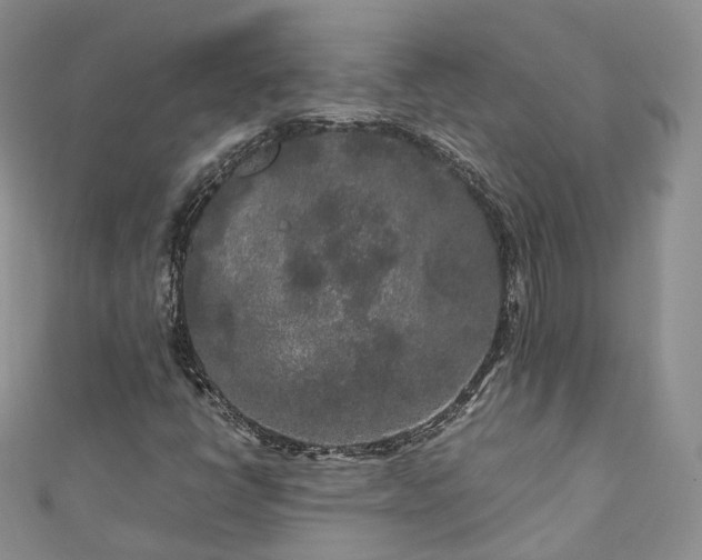 X0000111011398200906261510