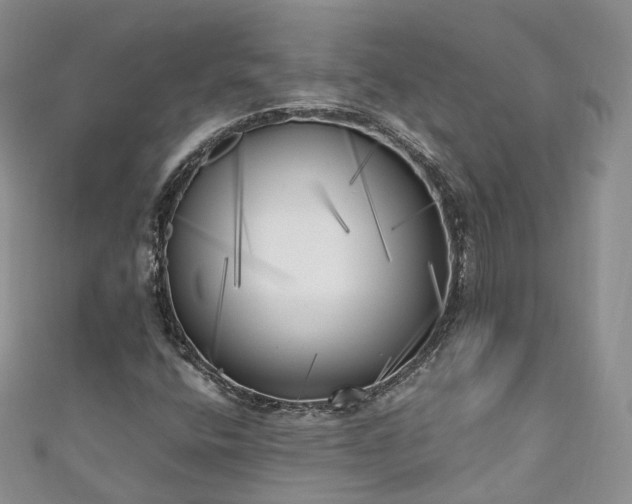 X0000111011400200906261510