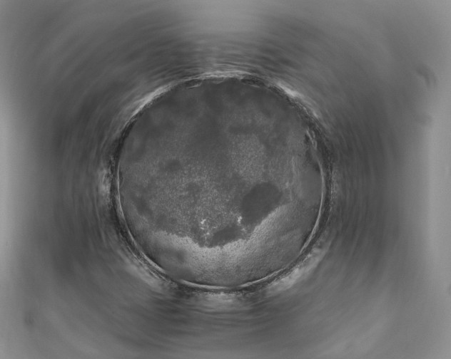 X0000111011401200906261510