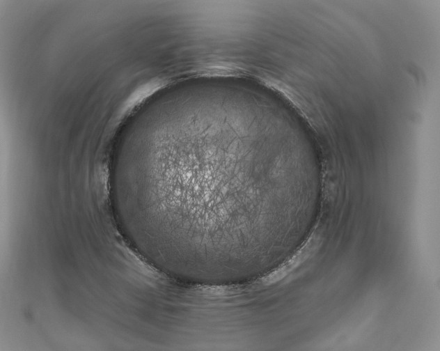 X0000111011402200906261510