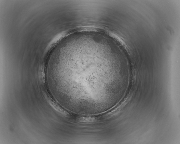 X0000111011403200906261510