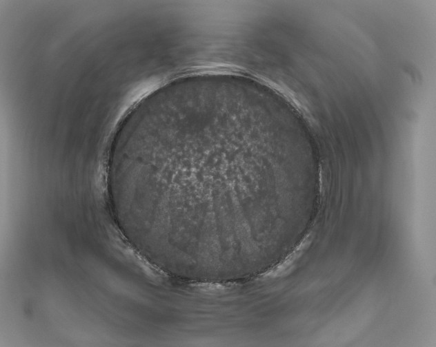X0000111011405200906261510
