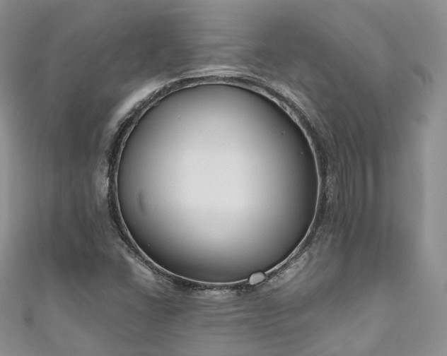 X0000111011406200906261510