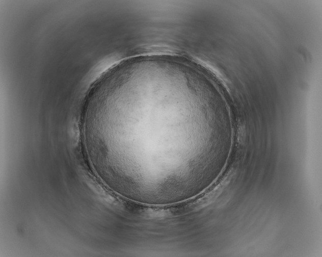X0000111011407200906261510