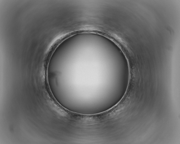 X0000111011408200906261510