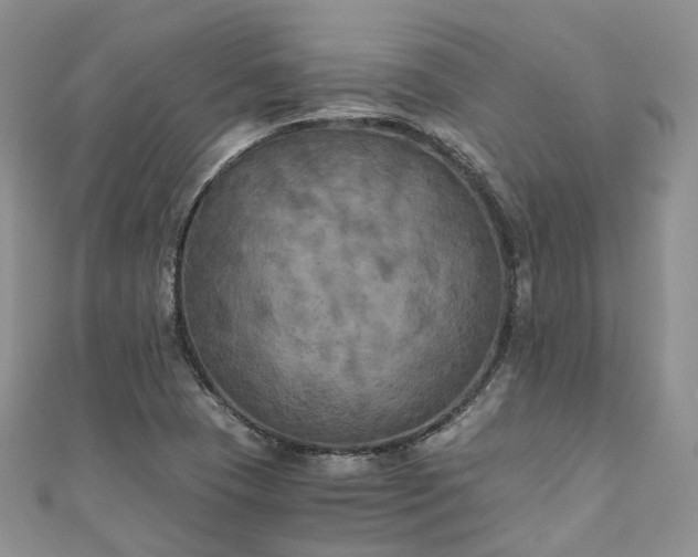 X0000111011409200906261510
