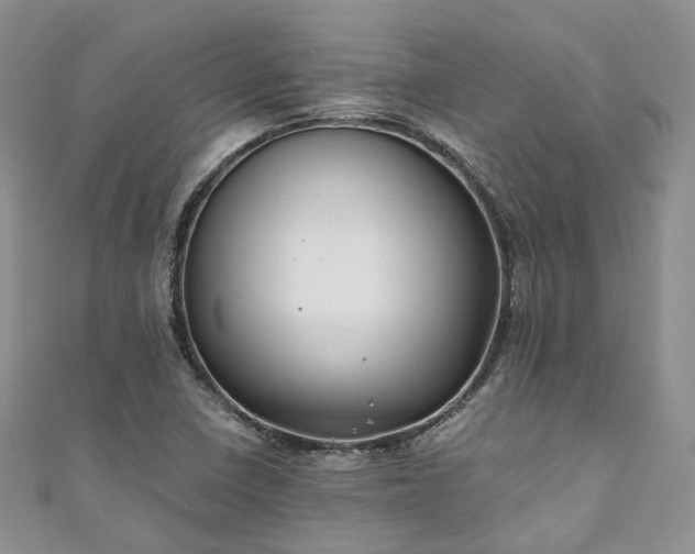 X0000111011410200906261510
