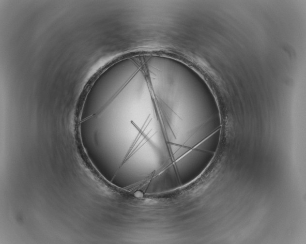 X0000111011412200906261510