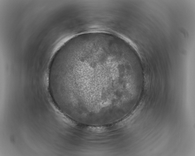 X0000111011415200906261510